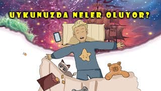 Uyku Hakkında Bilmediğiniz Gerçekler !! Türkçe Animasyon