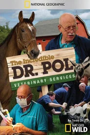 Yetenekli Doktor Pol 1. Sezon afişi