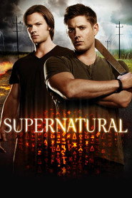 Supernatural 8. Sezon afişi