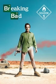 Breaking Bad 1. Sezon afişi