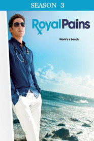 Royal Pains 3. Sezon afişi