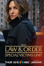 Law & Order: Special Victims Unit 28. Sezon afişi