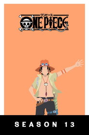 One Piece 13. Sezon afişi