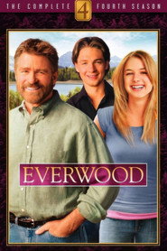 Everwood 4. Sezon afişi
