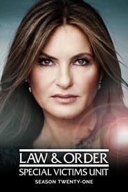Law & Order: Special Victims Unit 21. Sezon afişi