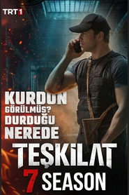 Teşkilat 7. Sezon afişi