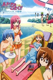 Hayate the Combat Butler Özel Bölümler afişi