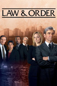 Law & Order 14. Sezon afişi