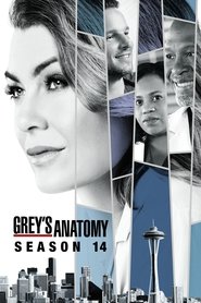 Grey's Anatomy 14. Sezon afişi