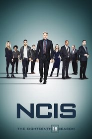 NCIS 18. Sezon afişi