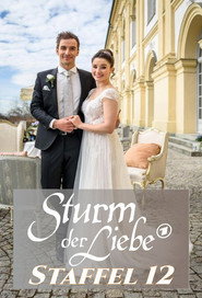Sturm der Liebe 12. Sezon afişi