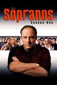 The Sopranos 1. Sezon afişi