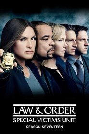 Law & Order: Special Victims Unit 17. Sezon afişi