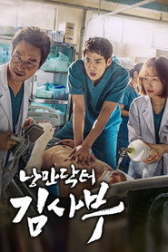 Dr. Romantic 1. Sezon afişi