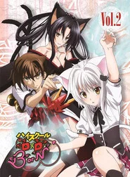 High School DxD Özel Bölümler afişi