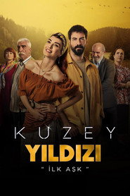 Kuzey Yıldızı: İlk Aşk 1. Sezon afişi
