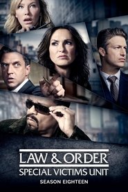 Law & Order: Special Victims Unit 18. Sezon afişi