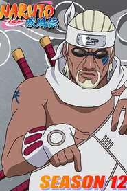 Naruto: Shippuuden 12. Sezon afişi