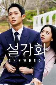 Snowdrop 1. Sezon afişi