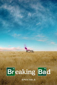 Breaking Bad Özel Bölümler afişi