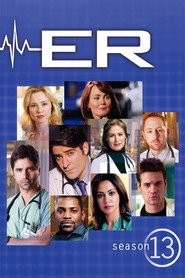 ER 13. Sezon afişi