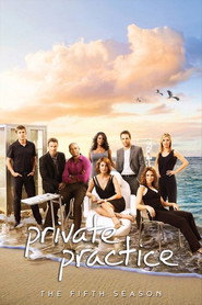 Private Practice 5. Sezon afişi