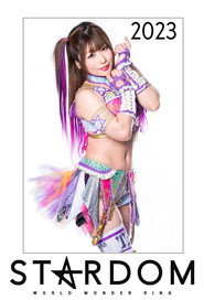 スターダム・ワールドのスターダム 13. Sezon afişi