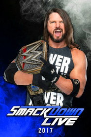 WWE Friday Night SmackDown 19. Sezon afişi