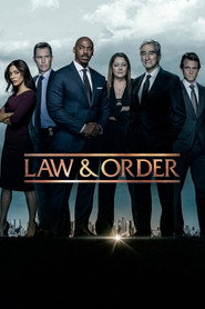 Law & Order 22. Sezon afişi
