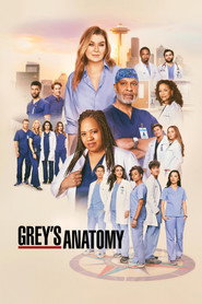 Grey's Anatomy 21. Sezon afişi
