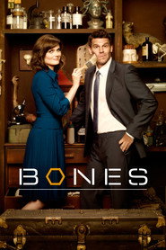 Bones 8. Sezon afişi