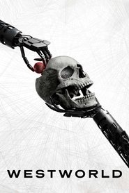 Westworld Dördüncü Sezon: Seçim afişi