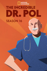 Yetenekli Doktor Pol 16. Sezon afişi