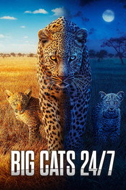 Big Cats 24/7 2. Sezon afişi
