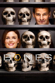 Bones 4. Sezon afişi
