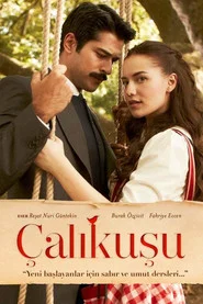 Çalıkuşu 1. Sezon afişi