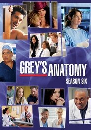 Grey's Anatomy 6. Sezon afişi