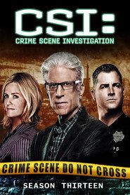 CSI: Crime Scene Investigation 13. Sezon afişi