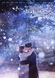 While You Were Sleeping 1. Sezon afişi