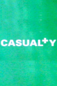 Casualty 15. Sezon afişi