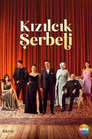 Kızılcık Şerbeti 2. Sezon afişi