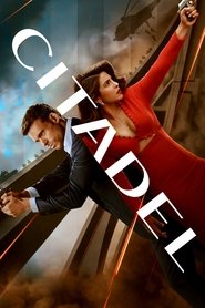 Citadel 1. Sezon afişi