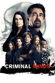Criminal Minds 12. Sezon afişi