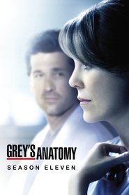 Grey's Anatomy 11. Sezon afişi