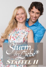 Sturm der Liebe 11. Sezon afişi