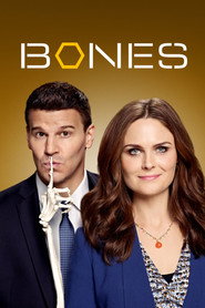 Bones 9. Sezon afişi