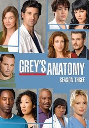 Grey's Anatomy 3. Sezon afişi