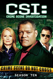 CSI: Crime Scene Investigation 10. Sezon afişi