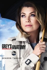 Grey's Anatomy 12. Sezon afişi