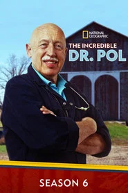Yetenekli Doktor Pol 6. Sezon afişi